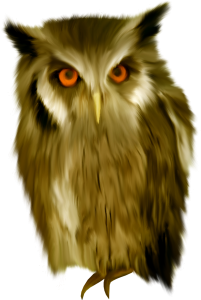Owl PNG-26751